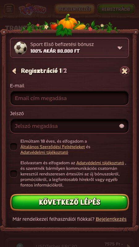 Roostino regisztrációs folyamat: Bejelentkezési adatok megadása