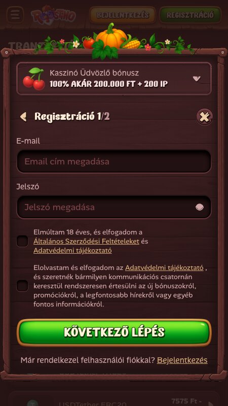 Roostino regisztrációs folyamat: Bejelentkezési adatok megadása