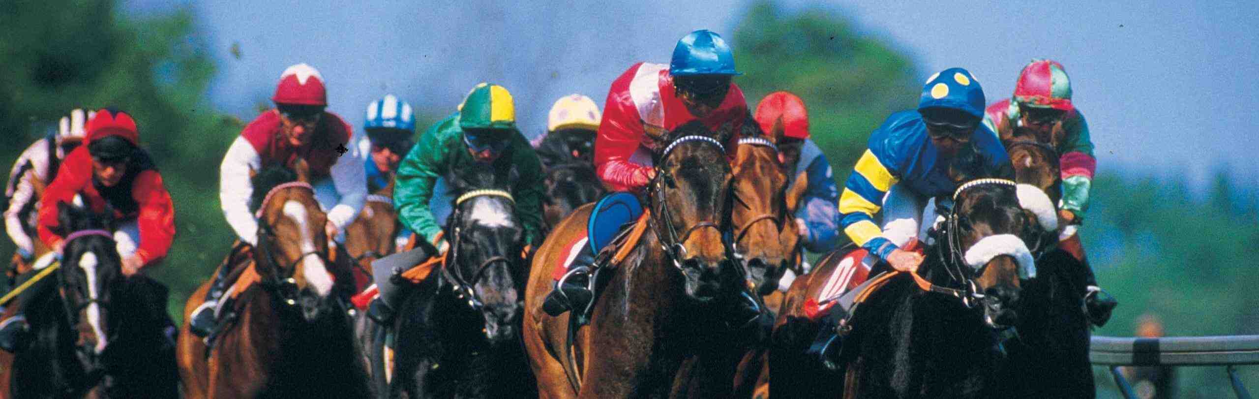 horse racing, sporfogadasok.tv